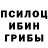 Галлюциногенные грибы прущие грибы Michail Kukushkin