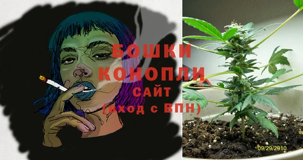 PSILOCYBIN Снежинск